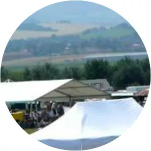 Roland Kánik - Musician