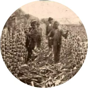 rolf cahn james iron head baker and moses clear rock platt