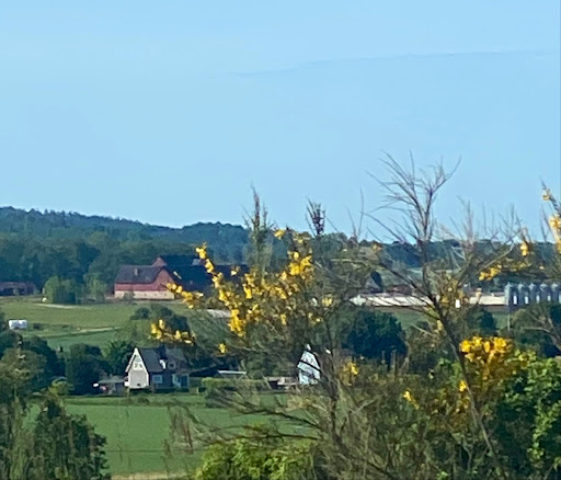 Rolfstorp Ekekullen - Bus stop in Sweden
