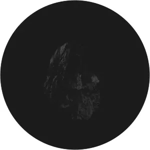 Romain Perrot - Musical artist