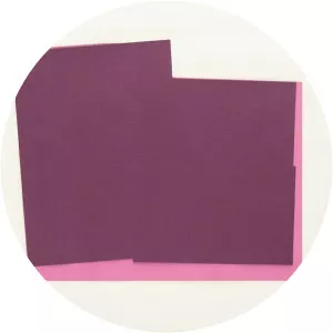 Roman Cotosman - Artist