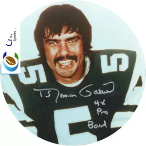 Roman Gabriel - American football player