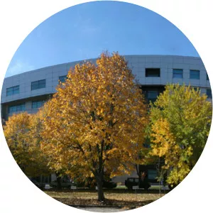 Romanian-American University