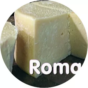 Romano cheese photograph
