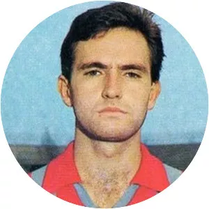 Romano Galvani - Italian football player