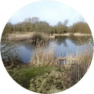 Romney Warren Country Park - 