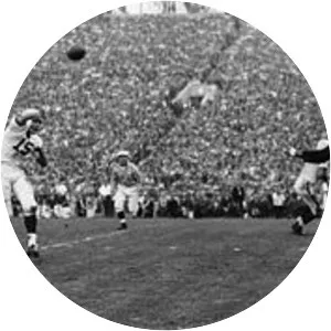 Ron Vander Kelen - American football quarterback