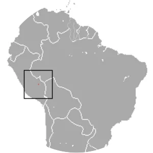 Ronald's opossum - Animal