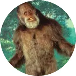 Roni Järvinen - Football player