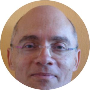 Roni Weinstein - Historian