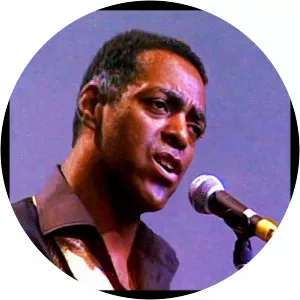 Ronnie Baró Musician