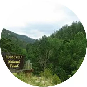 Roosevelt National Forest - National park in Colorado