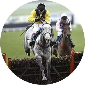 Rooster Booster - Horse