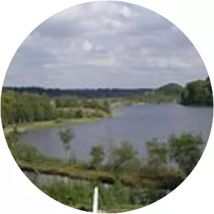 Rørbæk Sø - Lake in Denmark