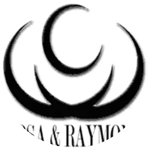 Rosa and Raymond Parks Institute for Self Development - 