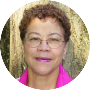 Rosalyn Terborg-Penn