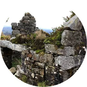 Rosanna Cox Fitzgerald photograph