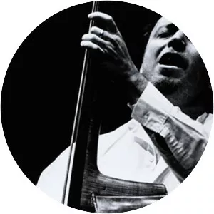 Rosario Bonaccorso Musician