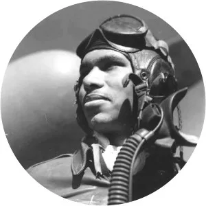 Roscoe C. Brown Jr. - Fighter pilot