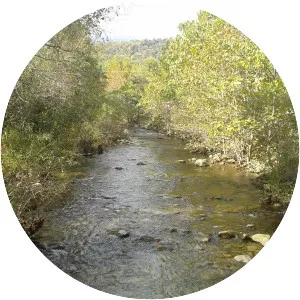 Rose River - River in Virginia