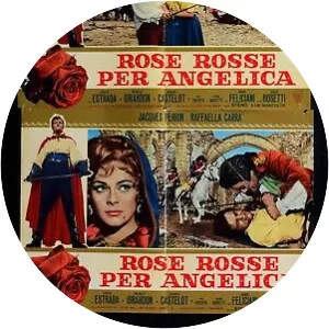 Rose rosse per Angelica photograph