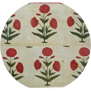 Rosemary Crill - Author