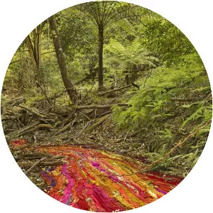 Rosemary Laing - Australian photographer