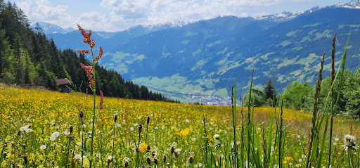 Rosenalmbahn Mittelstation