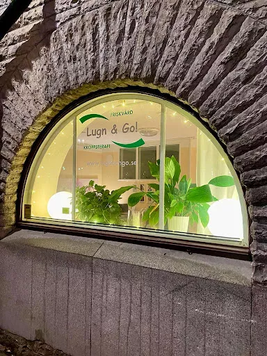 Rosenmetoden - Rigmor Palmqvist