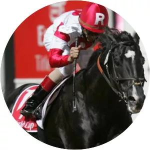 Roses In May - Horse