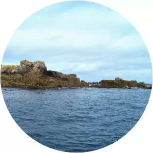 Rosevear - Island in England