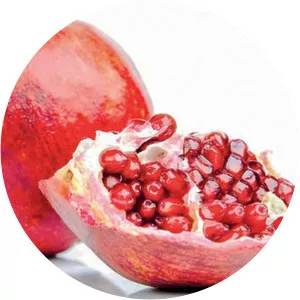 Rosh Hashanah (Roş Aşana)