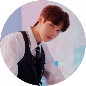 Roshin Musician - Musical artist