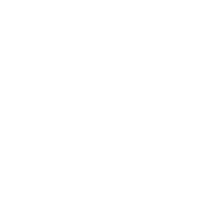 Ross Intelligence Inc. - Company