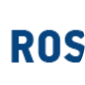 Rosseti - Company
