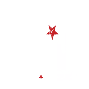 Rotterdam Ska-Jazz Foundation