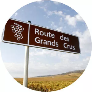 Route des Grands Crus - 