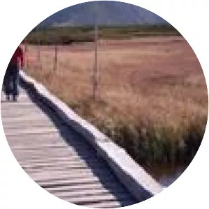 Równia pod Śnieżką - 