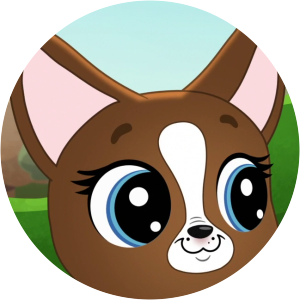 roxie mcterrier photograph