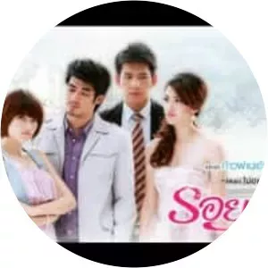 Roy Marn - TV program