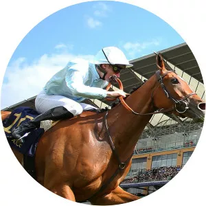 Royal Ascot Memories: Coronation StakesSince 2020 - TV program