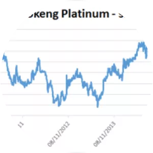 Royal Bafokeng Platinum - Company