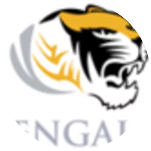 Royal Bengal Airline