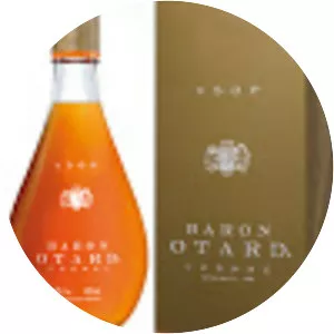 Royal Castle of Cognac - 