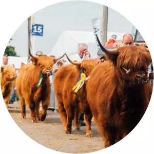 Royal Highland Show - 