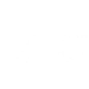 Royal Monmouthshire Royal Engineers