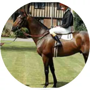 Royal Palace - Horse