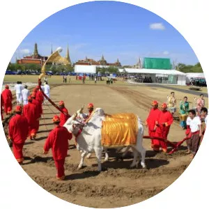 Royal Ploughing Ceremony