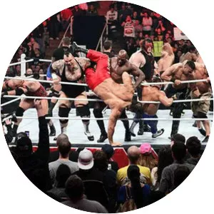 Royal Rumble - January 25, 2015