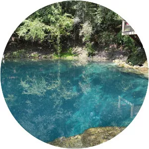 Royal Springs - Spring in Florida